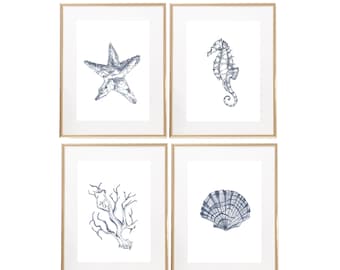 Wall Decor, Navy Blue Nautical Ink Drawings, Seashell Starfish Coral Seahorse  Art Print 5x7