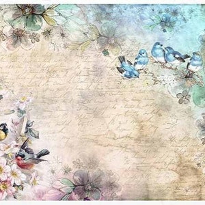 Feuille de riz pour découpage, feuille A4, shabby chic, oiseaux et fleurs, découpage, travaux manuels, collage, scrapbooking, journalisation, # R1386
