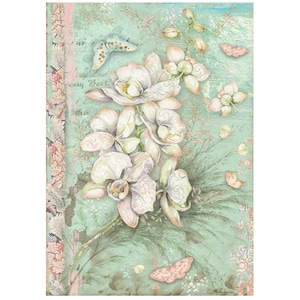 May include: A watercolour painting of white orchids with pink accents on a light blue background. The orchids are surrounded by delicate green leaves and butterflies. The background features faded, vintage-style text.