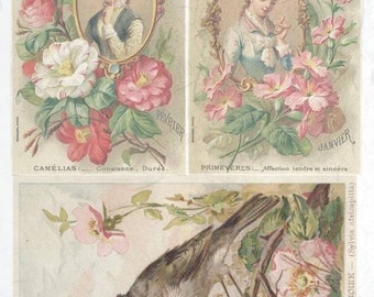 Rice Paper For Decoupage A4 Sheet Vintage Bird And Ladies Decoupage Crafts Collage Scrapbooking Journaling #R0637