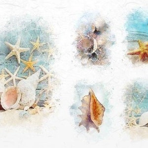 May include: A watercolor painting of seashells and starfish. The painting is divided into four sections, each with a different arrangement of shells and starfish. The shells are in various colors, including white, brown, and pink. The starfish are yellow and white.