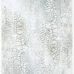May include: Textured paper with a cracked, aged appearance. The surface is mainly white with areas of grey and brown, creating a distressed effect. The cracks form a network of irregular shapes.