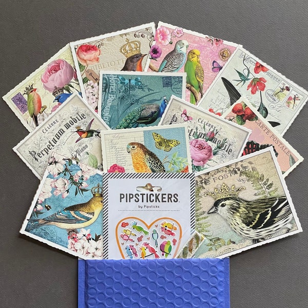 Edition Tausendschön Bird Lovers Postal Pack - Mix of Postcards, Stickers and Washi Tape - Birding, Birder, Birds