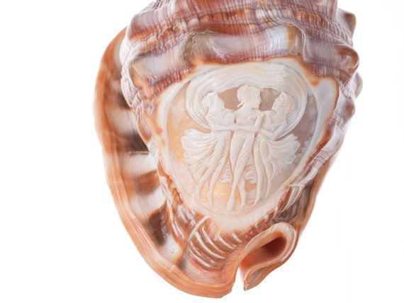 Buy Large Vintage Carved Cameo Conch Shell Online in India - Etsy