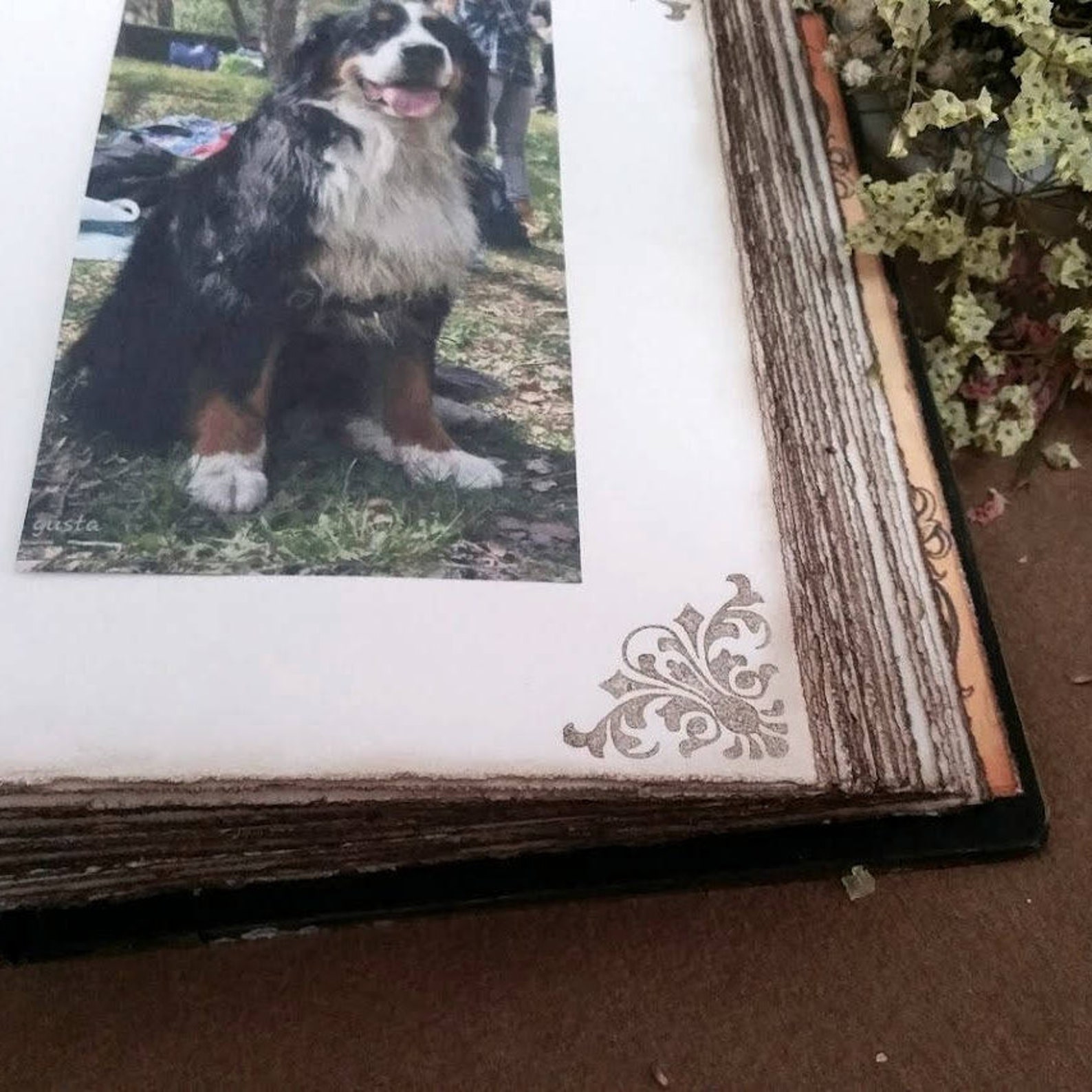 Custom Pet Photo Album Pet Book New Puppy Book Family Pet Etsy
