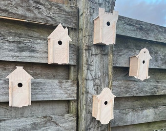 Divertido kit de casa para pájaros DIY: ¡construye y decora!