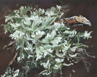Botanical Lichen Painting – Original Soft Pastel Art, Signed