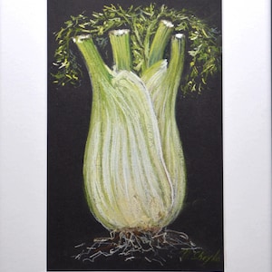 Natura morta di finocchio bianco – Arte originale a pastello morbido su carta nera