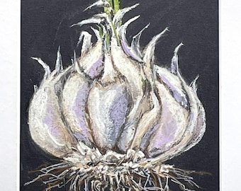 Garlic Still Life – Original Soft Pastel on Black Paper, Kitchen Wall Art