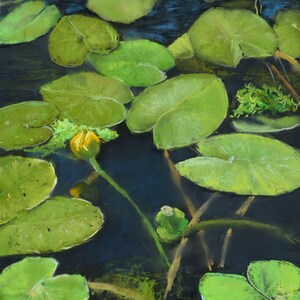 Yellow Water Lilies - Soft Pastel Pond Scene.