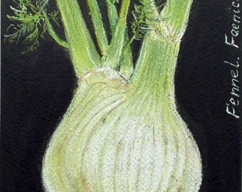 Original Pastel Portrait - Fennel | Botanical Portraits | Everyday Poetry collection