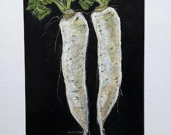 Original Pastel Painting - Daikon | Botanical Portraits | Everyday Poetry collection