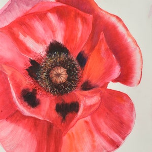Papavero rosso. Dipinto originale con tecnica mista raffigurante un papavero in fiore.