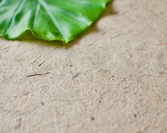 May include: A close-up of a light brown textured surface with a large green leaf in the upper left corner.