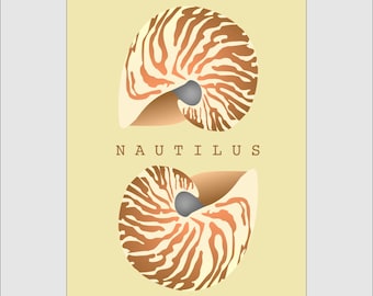 Nautilus Seashell, set of three 11x14 Digital Download