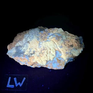 May include: A close-up of a rough, gray and white rock with blue and yellow fluorescent markings. The rock is on a black surface with the letters "LW" written in white.