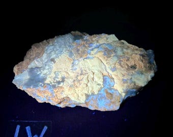 Magnesite and rare Deweylite Mineral specimen from Penn md materials, Peach Bottom, PA. Multi wave fluorescence