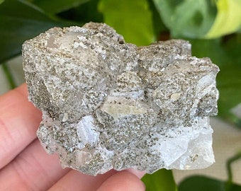Beautiful Pyrite Sprinkled on a Quartz Cluster. Morocco