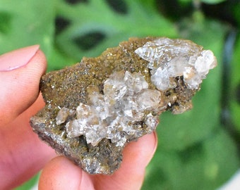 Rare FLUORESCENT ADAMITE and Selenite. Lusterous and gemmy. Neon Green Uv Fluorescence. High quality crystal from Durango, Mexico.