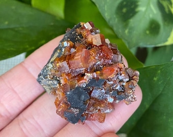 Gemmy Vanadinite crystal cluster. Bright red and black cluster from Mibladen, Morocco.