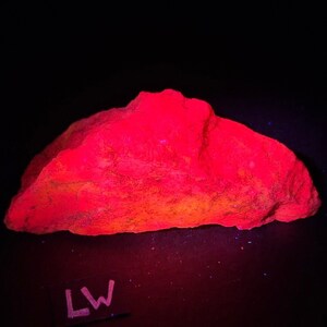 Tremolita fluorescente. Fluorescente rosa/fucsia de onda corta y onda larga. Desde Balmat, NY