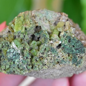 May include: A close-up of a green and gray mineral specimen with a rough, textured surface. The specimen is covered in small, green crystals.
