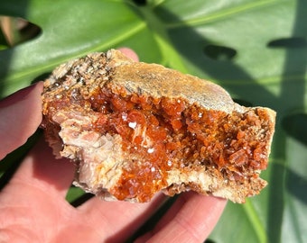 Sparkly Red Vanadinite vein in Pink Barite crystal cluster. Crystal from Mibladen, Morocco.