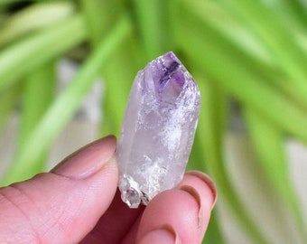 Veracruz Amethyst Crystal point. Crystal specimen from Veracruz, Mexico. Beautiful purple quartz crystal cluster