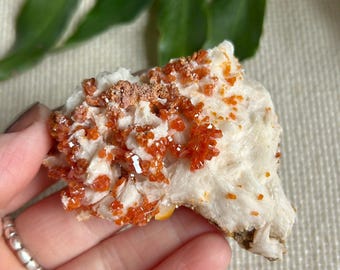 Sparkly Red Vanadinite and Druzy Quartz on Barite Blades crystal cluster. Crystal Cluster from Mibladen, Morocco.