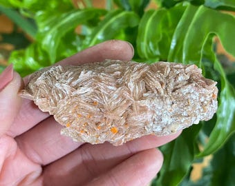 Tiny Vanadinite Crystals on druzy quartz and barite from Mibladen, Morocco.