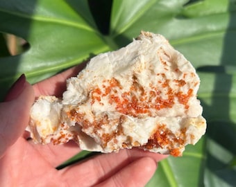 Sparkly Red Vanadinite and Druzy Quartz on Barite crystal cluster. Crystal Cluster from Mibladen, Morocco.