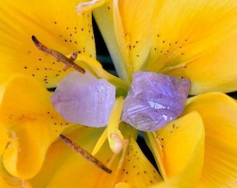 Amethyst stud earrings. February Birth Stone. Rare New Jersey Amethyst. Raw natural boho jewelry