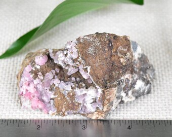 COBALTOAN CALCITE with Druzy Chalcedony. Beautiful and unique crystal Salrose specimen.