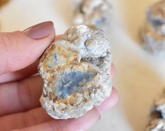 x4 BLUE CHALCEDONY Crystal Nodules/Geodes. From Chihuahua, Mexico.