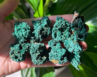 Op de afbeelding: Een verzameling van zeven groene malachietkristalclusters. De clusters zijn ruw en hebben een natuurlijke, aardse uitstraling.