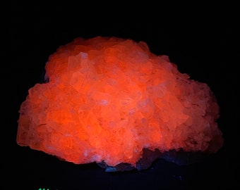 Fluorescent CALCITE, QUARTZ and PYRITE Cluster from Kings Quarry, Morocco. Midwave Mw and Longwave Lw Uv.