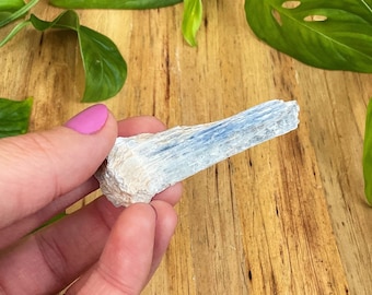 Blue Kyanite crystal point. Funky and naturally shaped Brazilian crystal wand.