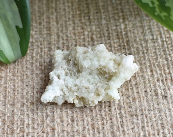 Prehnite crystal cluster. Upper New Street Quarry. Small/medium cabinet piece. New Jersey.