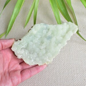 May include: A light green, white, and gray crystal cluster with a rough, textured surface. The crystal is a natural formation with a unique shape and pattern.