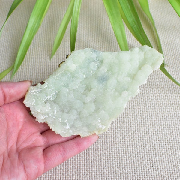 Prehnite and pumpellyite specimen. Upper New Street Quarry. Medium/Small size cabinet specimen. New Jersey.