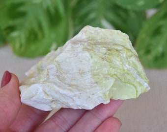 Banded Serpentinite - Yellow Green Serpentin-Jade - Rough/Raw Large piece from India