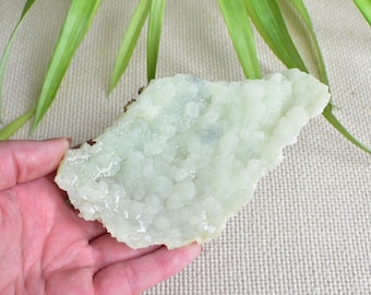 Prehnite and pumpellyite specimen. Upper New Street Quarry. Medium/Small size cabinet specimen. New Jersey.