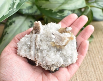 Stilbite on Quartz and dogtooth Calcite pseudomorph after Anhydrite. Upper New Street Quarry. Medium size cabinet piece. New Jersey.