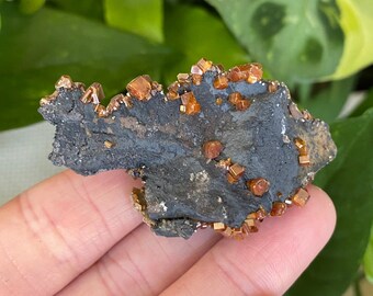 Vanadinite crystal cluster on matrix. Bright red cluster from Mibladen, Morocco.