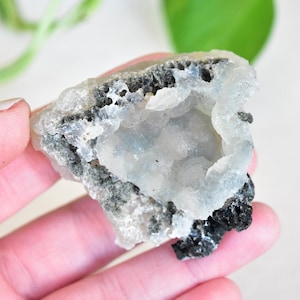 May include: A white and gray geode with a hollow center. The geode has a rough, textured exterior and a smooth, crystalline interior.