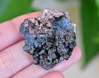 Botryoidal Turgite / Hematite , with Pyrophylite. Beautiful specimen from Graves Mountain, Georgia, USA.