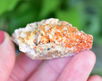 Red Vanadinite on Barite Blades crystal cluster. Bright orange and white cluster from Mibladen, Morocco.