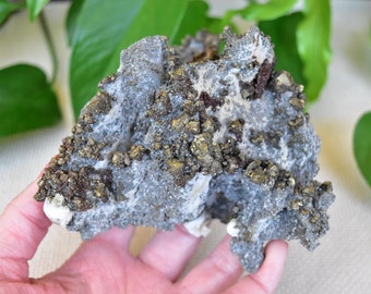 Chalcopyrite and Dogtooth Calcite on a sparkly Matrix. The Calcite is Midwave UV Fluorescent. Large