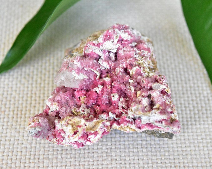 Featured listing image: Druzy Pink Cobaltoan Calcite with Selenite. Morocco