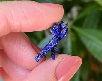 Unique Azurite crystal cluster from Kerrouchen, Morocco.